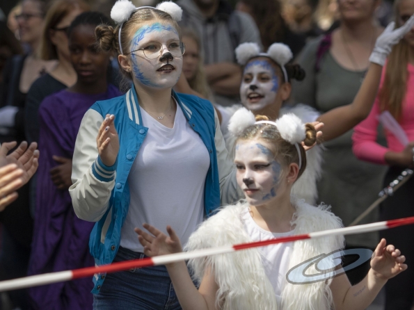 OLYMPUS DIGITAL CAMERA