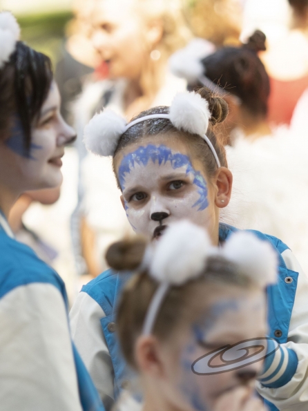 OLYMPUS DIGITAL CAMERA