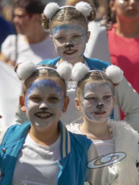 OLYMPUS DIGITAL CAMERA