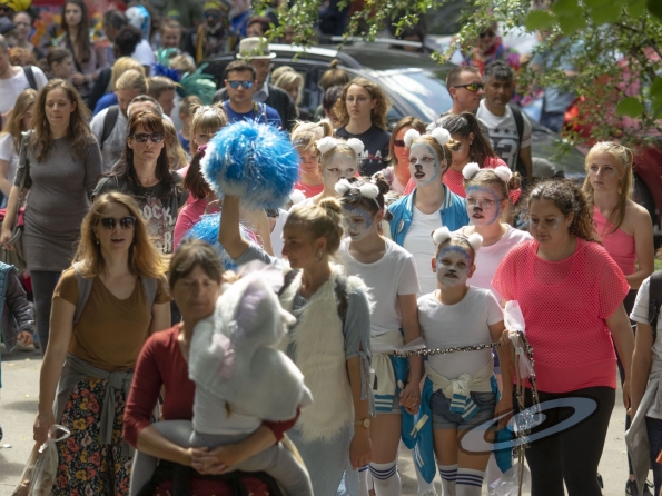 OLYMPUS DIGITAL CAMERA