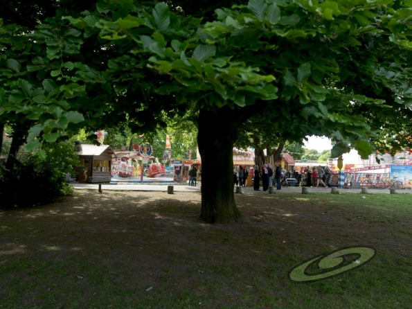 OLYMPUS DIGITAL CAMERA