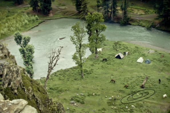 OLYMPUS DIGITAL CAMERA